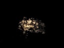 SFC10 - ABORYGEN